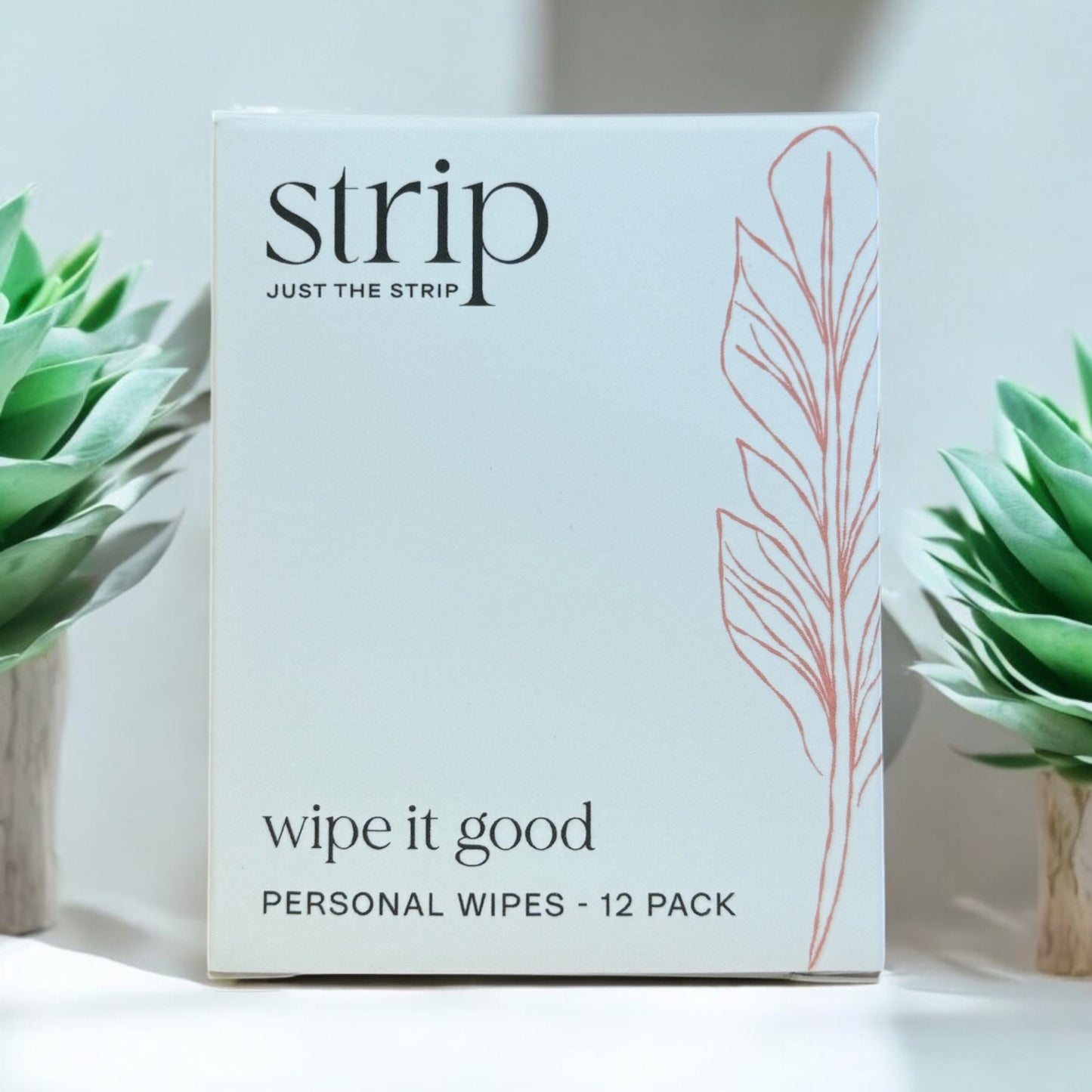 Wipe it Good Personal Wipes 12 Pack