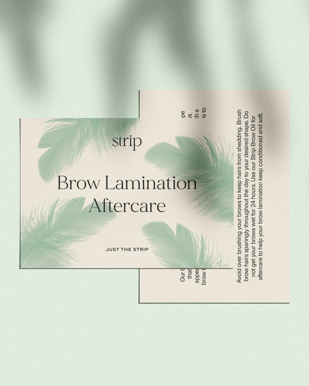 Front and back of the Just The Strip Brow Lamination Aftercare card printed with green feather artwork