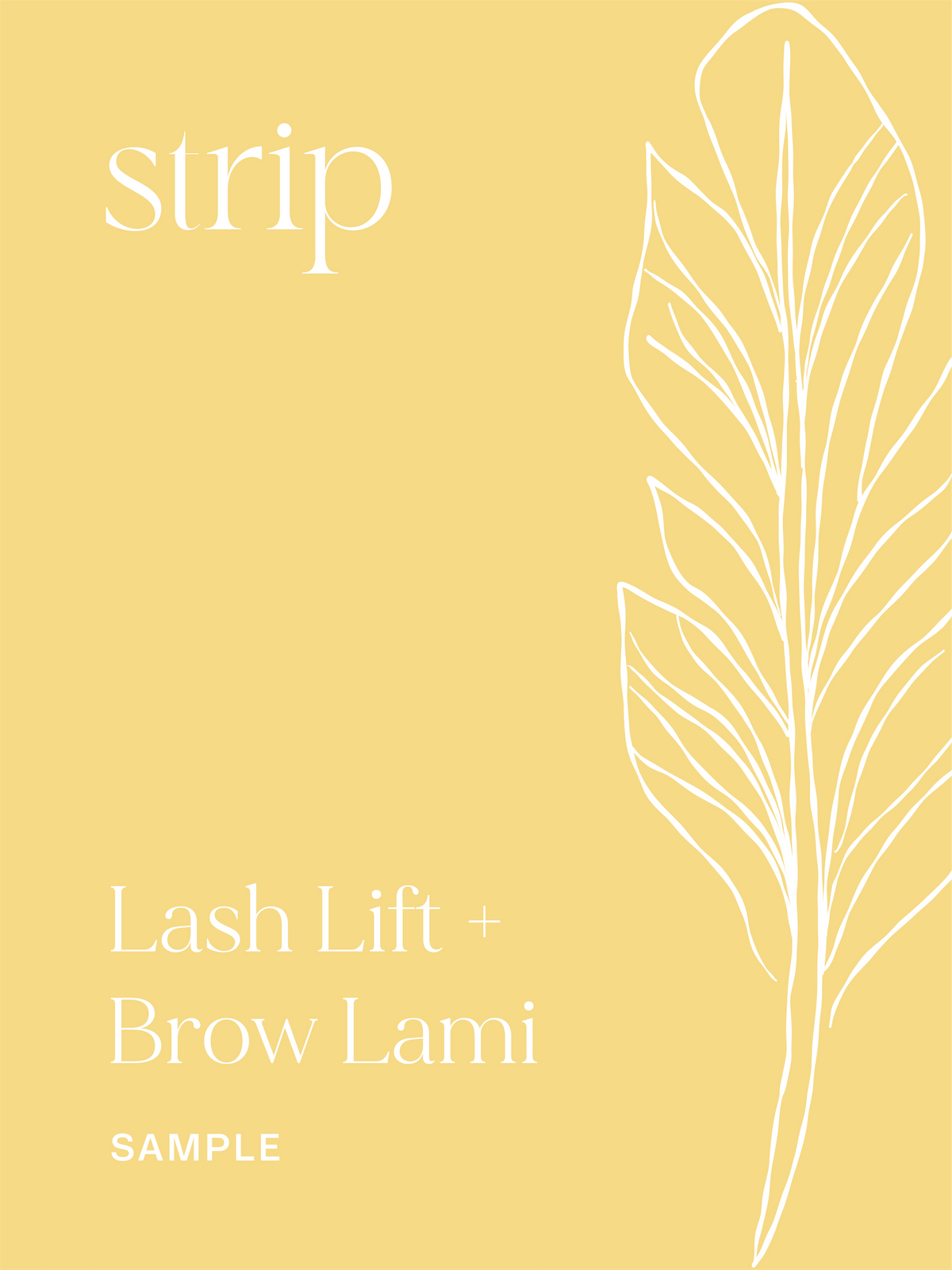 Just The Strip Lash Lift and Brow Lamination Sample Kit label on a yellow background
